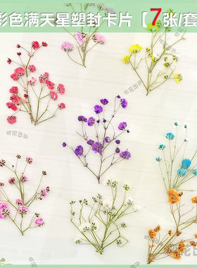 干花满天星塑封卡片枫叶银杏书签