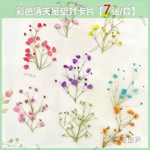 不同颜色干花满天星树叶标本塑封卡片枫叶银杏小清新文艺礼物书签