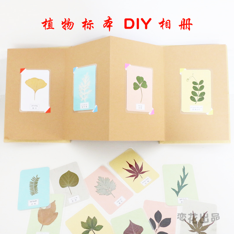植物标本相册集 翻页折叠式儿童亲子DIY手工花草树叶标本粘贴集册