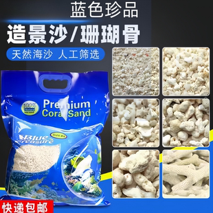 蓝色珍品菲律宾沙珊瑚沙海缸造景专用沙贝壳砂白细沙鱼缸天然免洗