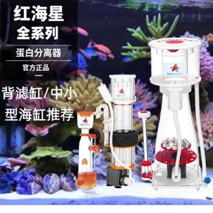 【红海星】迷你蛋分蛋白质分离器海水化氮器海缸高效过滤器全系列