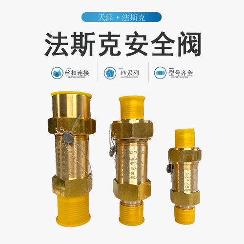 法斯克FV08-A3S3FV11安全阀