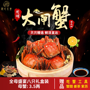 五河沱湖螃蟹全母盛宴八只装 大闸蟹3.5两 顾氏水产行 鲜活螃蟹