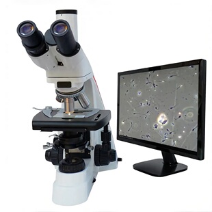 睿鸿偏光相差相衬生物显微镜细菌颗粒无限远平场物镜触摸屏精子精虫