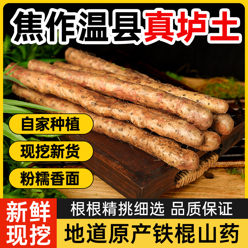 河南焦作鲜铁棍山药鲜怀山药粉糯铁棍山药淮山药垆土铁棍新鲜蔬菜