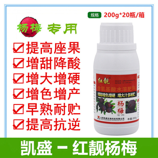 红靓杨梅专用叶面肥催红剂膨大剂增甜增色增硬膨大早熟剂抗逆增产