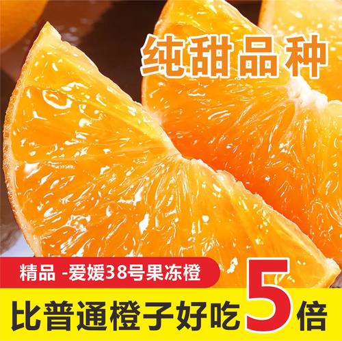 井橙皮薄化渣橙味浓郁手剥的橙