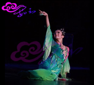 女子独舞古典舞《柳绿桃红》舞蹈服装服饰演出服表演服专业定制