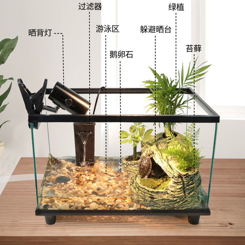 生态缸乌龟缸龟大型专用缸玻璃鱼家用免换水混养带盖子乌龟屋房龟