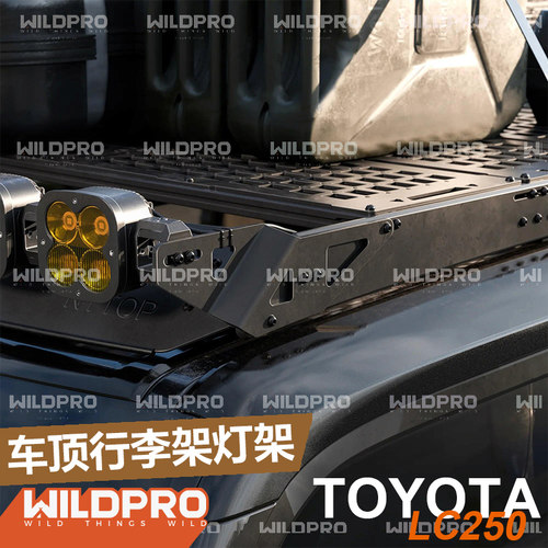 NYTOP行李架灯架GX550/LC250