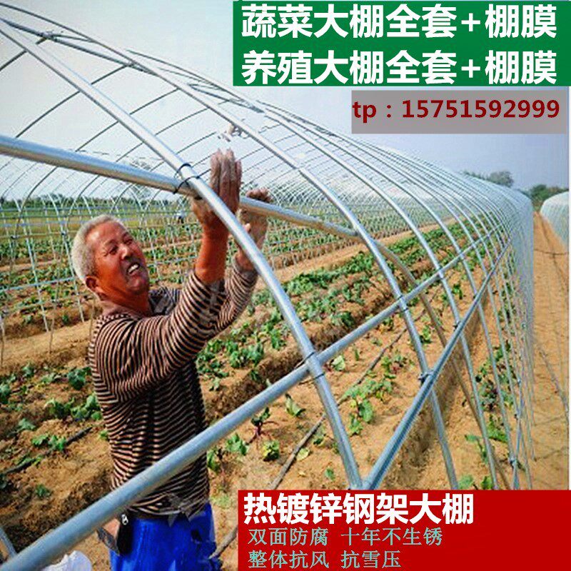 温室大棚钢架蔬菜大棚骨架骨架大棚钢架多肉大棚大棚大棚大棚养殖|ruв категории доставка цветов/цветок моделирования/растения садоводства, садовых принадлежностей, других садовых принадлежностей - от Buy2taobao.com для оказания профессиональной услуги покупки агента Taobao