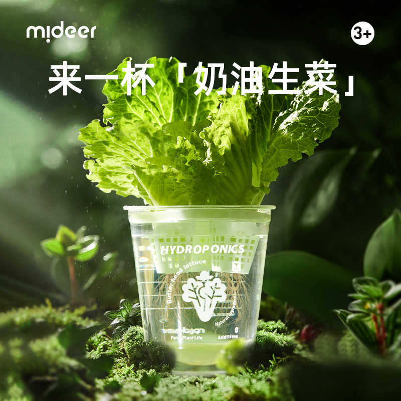 mideer弥鹿水培阳光种植房儿童玩具科学小实验套装植物生长观察盒