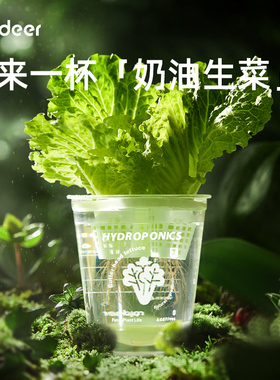 mideer弥鹿水培阳光种植房儿童玩具科学小实验套装植物生长观察盒