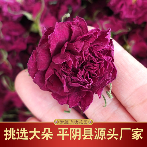 大朵平阴玫瑰花冠半开无硫花茶