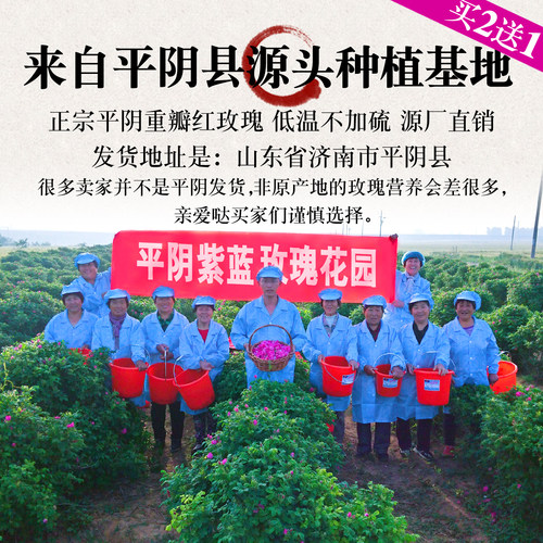 无硫平阴玫瑰花茶药食同源花蕾