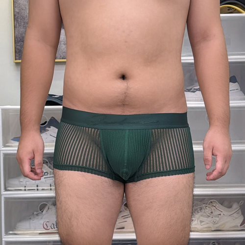 男士竖条纹镂空透明低腰平角内裤