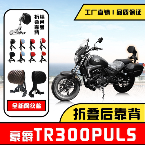 豪爵TR300PULS后靠背折叠靠背