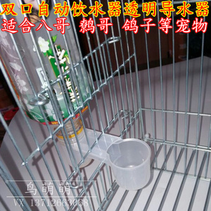 双口喝水导水器鸟鹦鹉八哥鹩哥自动饮水器鸽子喂水器鸽子用品用具