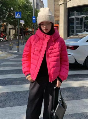 旺姿羽25923冬季新款减龄女韩版短款羽绒内胆外套大码休闲羽绒服