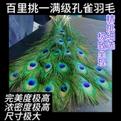 云南天然孔雀羽毛花瓶摆件客厅装 饰超A大眼孔雀翎真羽毛根根精选