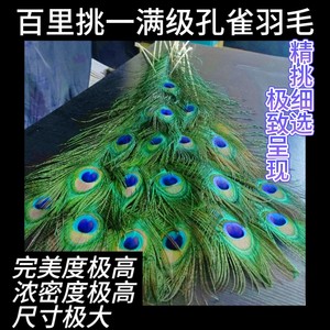 云南天然孔雀羽毛花瓶摆件客厅装饰超A大眼孔雀翎真羽毛根根精选