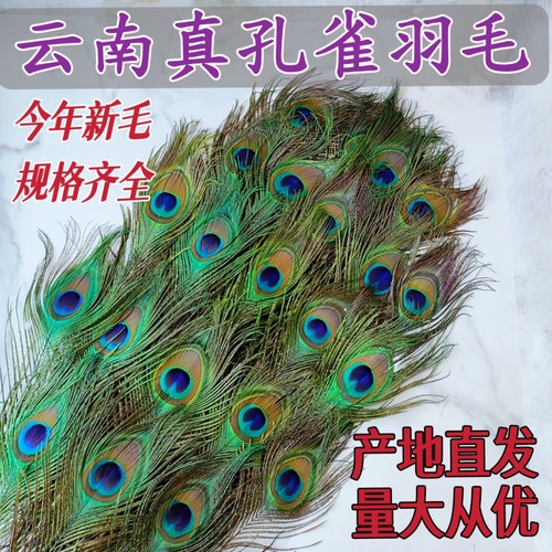 云南孔雀翎孔雀羽毛客厅书房店铺摆件插花瓶工艺品小众春节日装饰