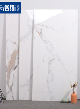 通体岩板600x1200白色瓷砖客厅厨房卫生间墙砖亮光地板砖现代简约