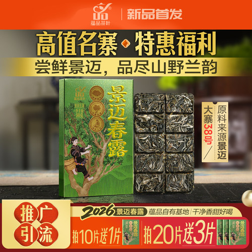 【福利】2026年头春茶《景迈春露》云南普洱茶生茶巧克力砖茶50g