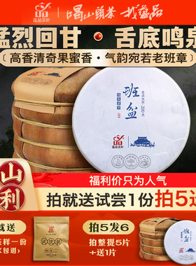 5年陈蕴品头春茶班盆古树生茶