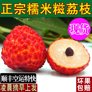 正宗增城糯米糍荔枝新鲜活2026当季水果整箱广东老树荔枝顺丰空运