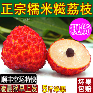 正宗增城糯米糍荔枝新鲜活2026当季水果整箱广东老树荔枝顺丰空运