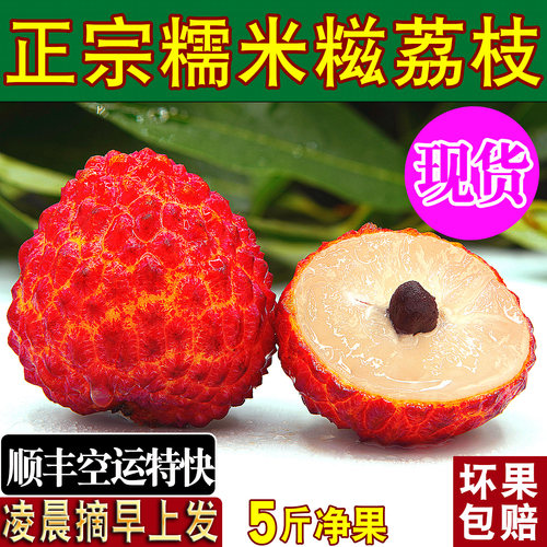 正宗增城糯米糍荔枝5斤新鲜活2026当季水果广东老树荔枝顺丰空运