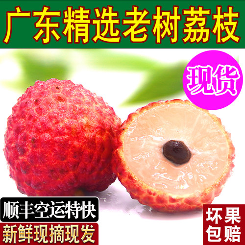 广东老树桂味荔枝新鲜顺丰空运