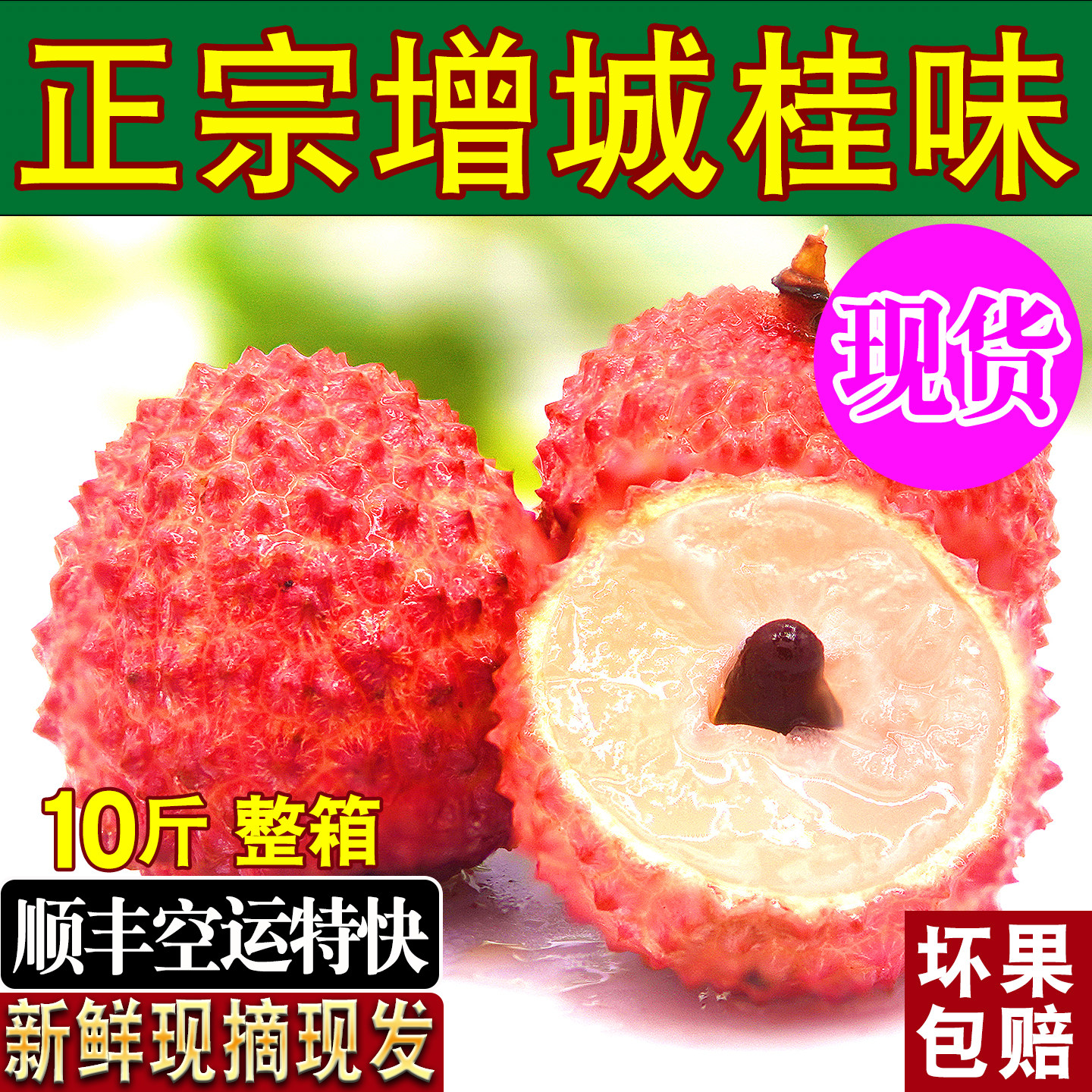 正宗增城桂味荔枝新鲜顺丰空运