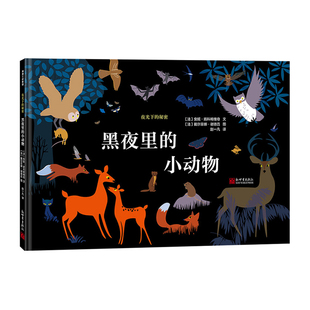 秘密系列 5岁以上夜光书夜光下 呈现15种不同栖息地里 夜行动物 蒲蒲兰绘本馆 黑夜里 生活方式 小动物——精装