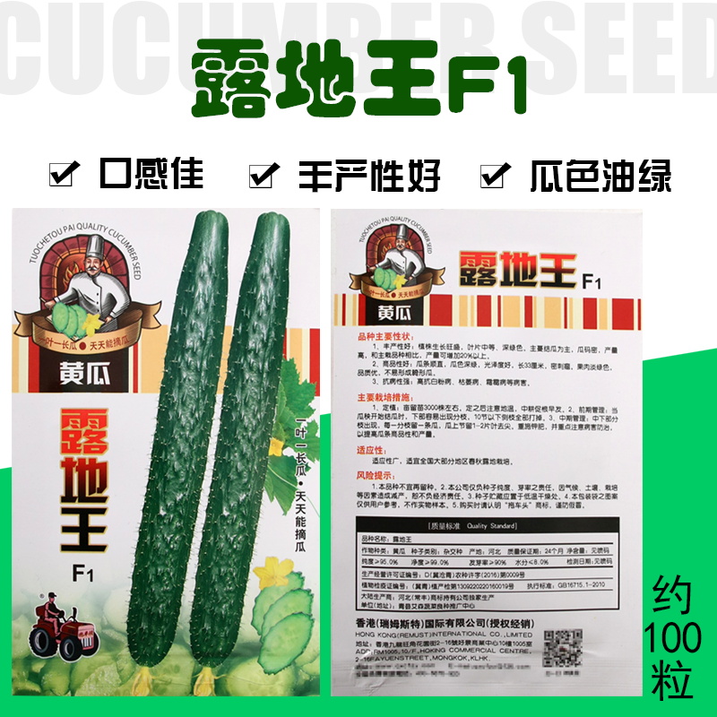 壽光蔬菜種子 四季露地王黃瓜種子 農科院專家稱之為很好的黃瓜種