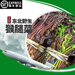 东北野生山菜猴腿 新鲜蕨菜山野菜一份半斤4份野菜包邮顺丰