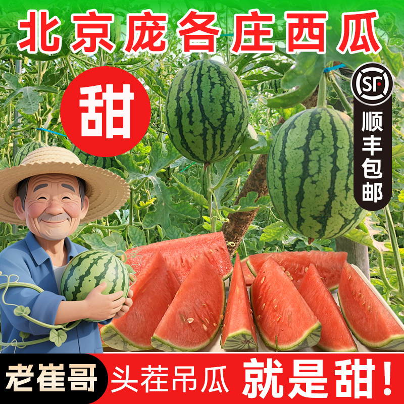 大兴庞各庄小西瓜 新鲜水果应季L600 非麒麟手撕现摘迷你头茬吊瓜 - 实物图