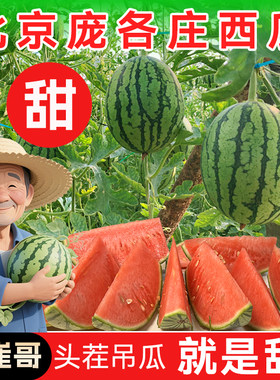 大兴庞各庄小西瓜应季L600