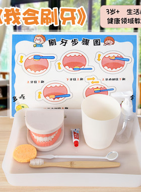 蒙氏教具保护牙齿认知玩具
