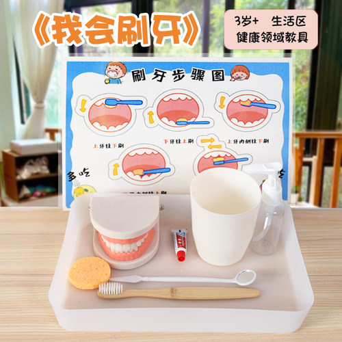 蒙氏教具保护牙齿认知玩具