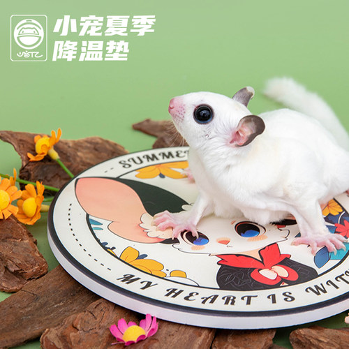 蜜袋鼯降温冰垫夏天避暑用品