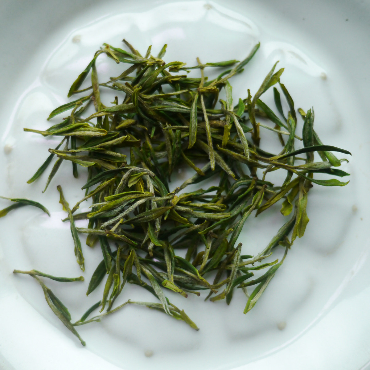 23年新茶  | 顾渚紫笋明前|渔山隐 方坞岕古茶山野生紫笋 50g