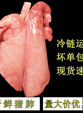 新鲜猪肺现杀现发冷链包邮