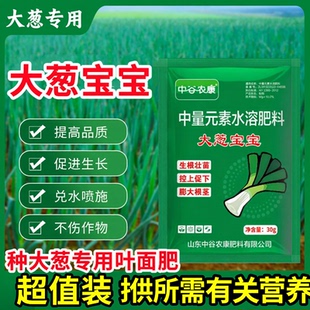 大葱宝宝中谷农康种植大葱叶面水溶肥料拉长增白拉长增粗抗病高产