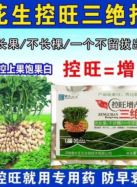 曹氏天正花生控旺增产矮化快膨大