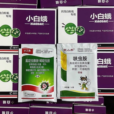 小白娥花卉瓜果蔬菜鲜花农业