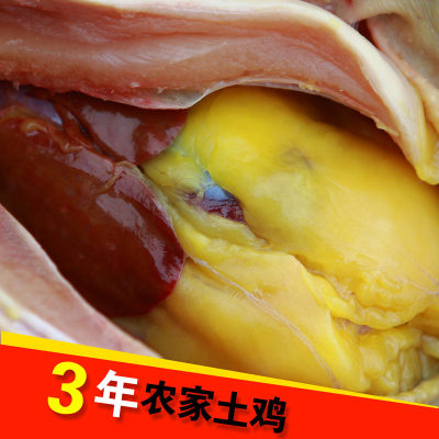 十二年品质老店苏北农家散养土鸡