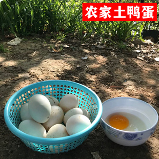 正宗苏北农家土鸭蛋 绿壳鸭蛋 新鲜生鸭蛋 破损包赔 顺丰包邮20枚
