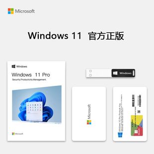 光盘 U盘中文英文繁体windows10系统安装 win11专业版 官方正品 纯净